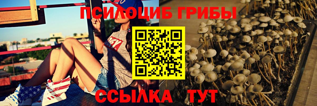 Галлюциногенные грибы ЛСД Сланцы