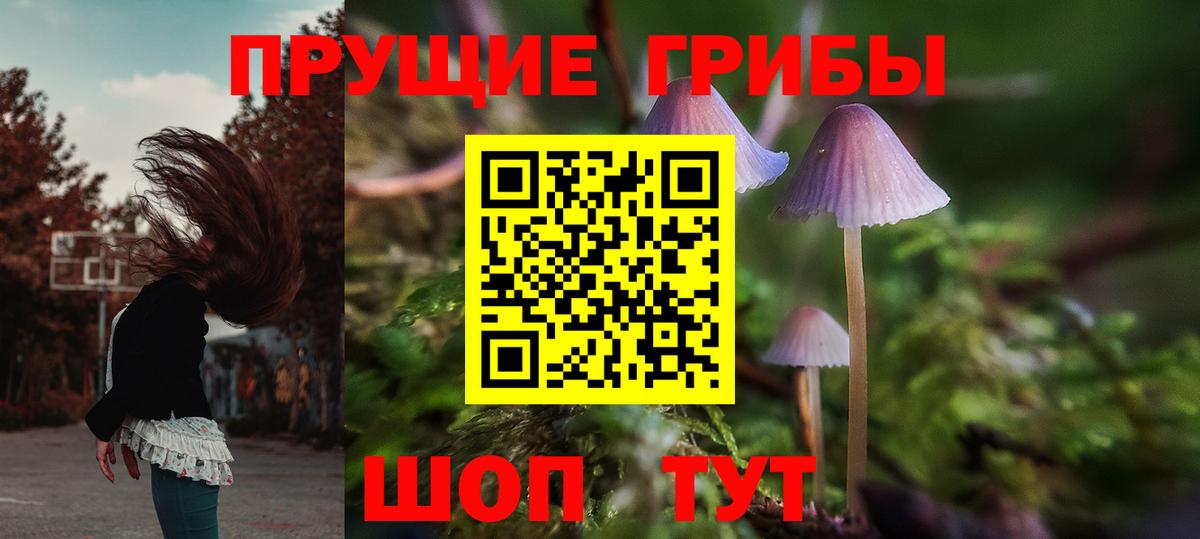 Сланцы  купить  сайты  Вход с VPN  Галлюциногенные грибы прущие грибы 